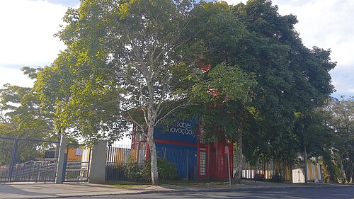 Retrato de Antonio Callado