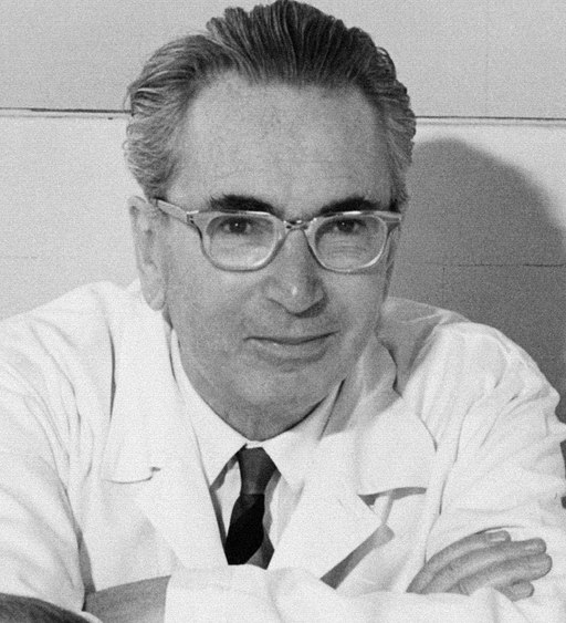 Retrato de Viktor Frankl